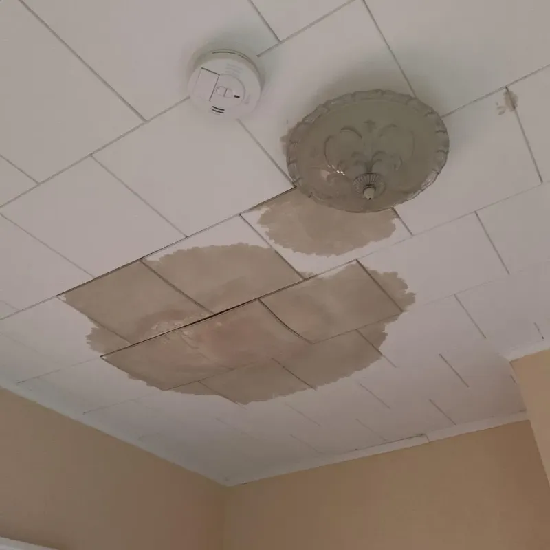 Ceiling Water Damage Repair in Richland Parish, LA