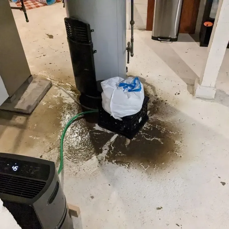 Sewage Backup Cleanup Service in Richland Parish, LA